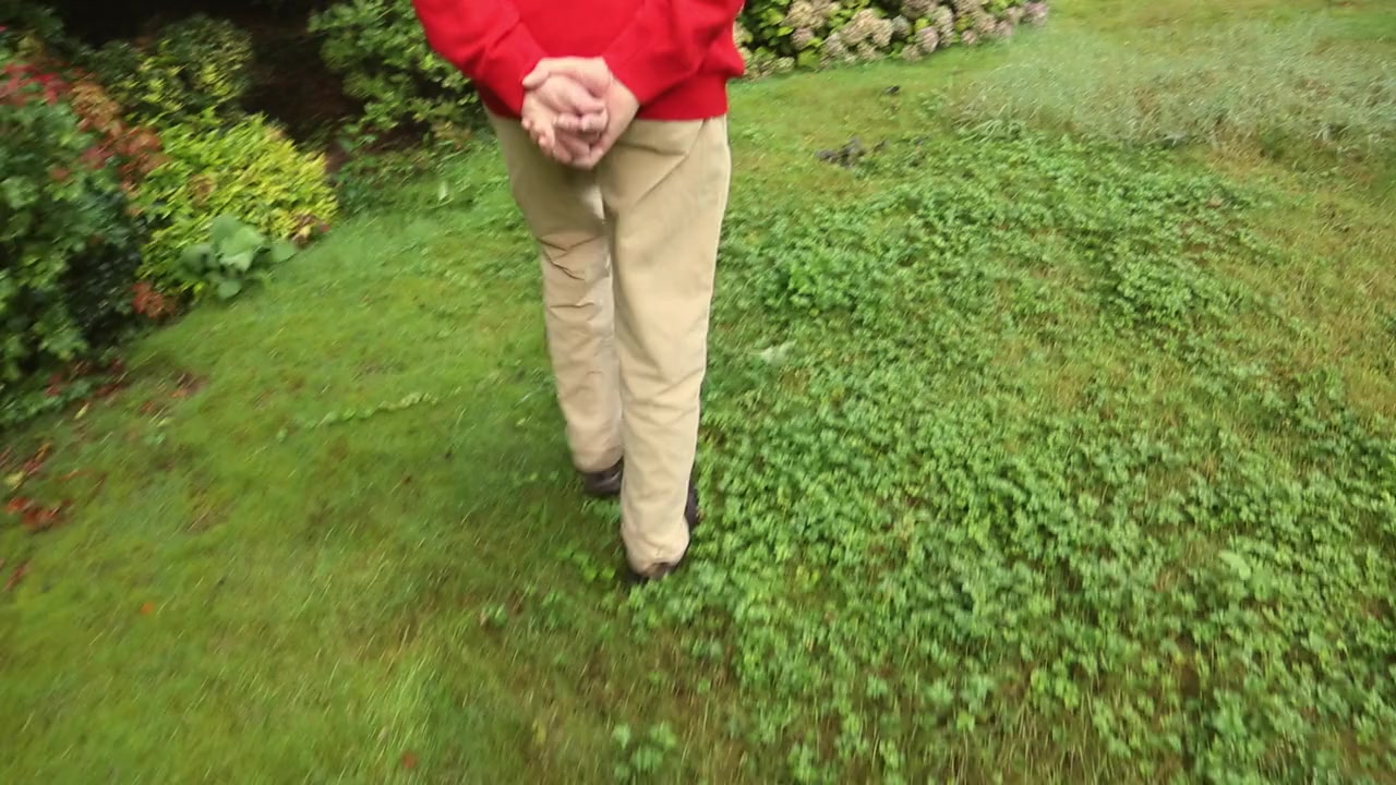 Cassette: A Documentary Mixtape screenshot 1