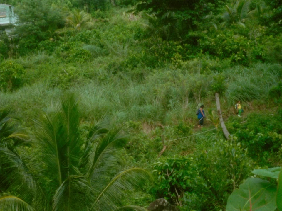 Cette maison screenshot 1