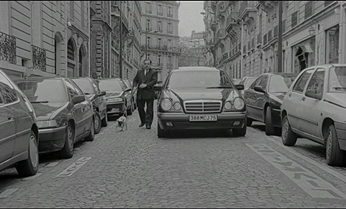 Celebration screenshot 1
