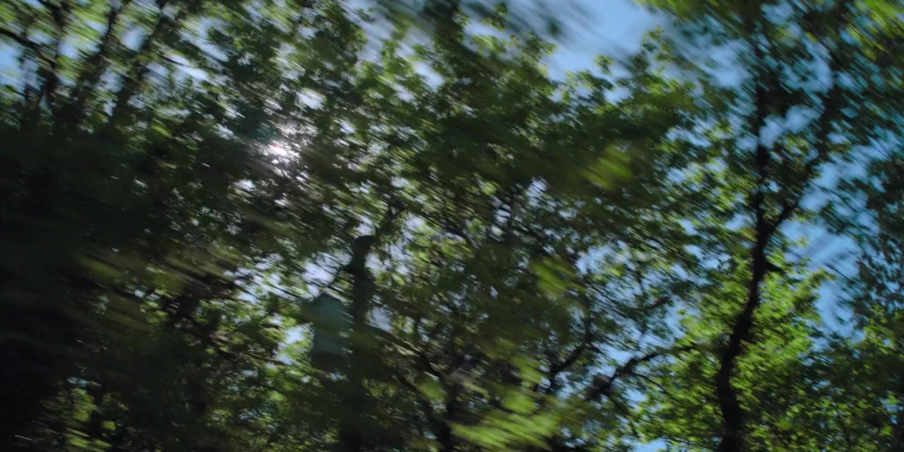 Cellar Door screenshot 3