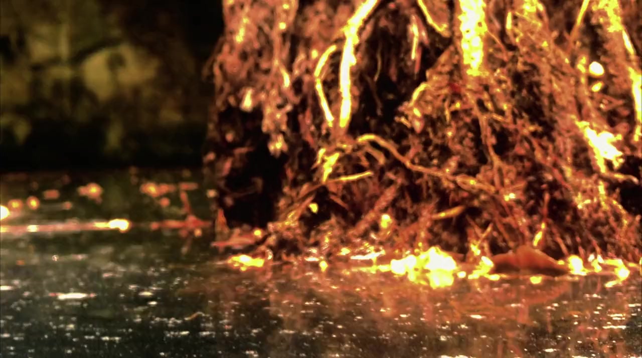 Cenote screenshot 1