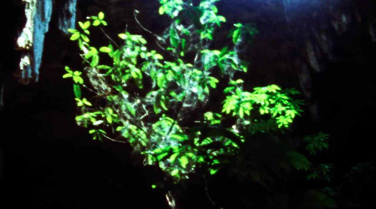 Cenote screenshot 2