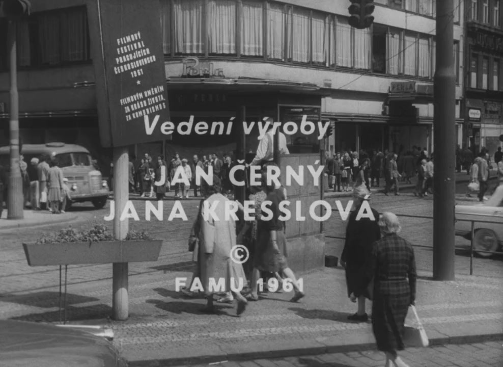 Cernobílá Sylva screenshot 3