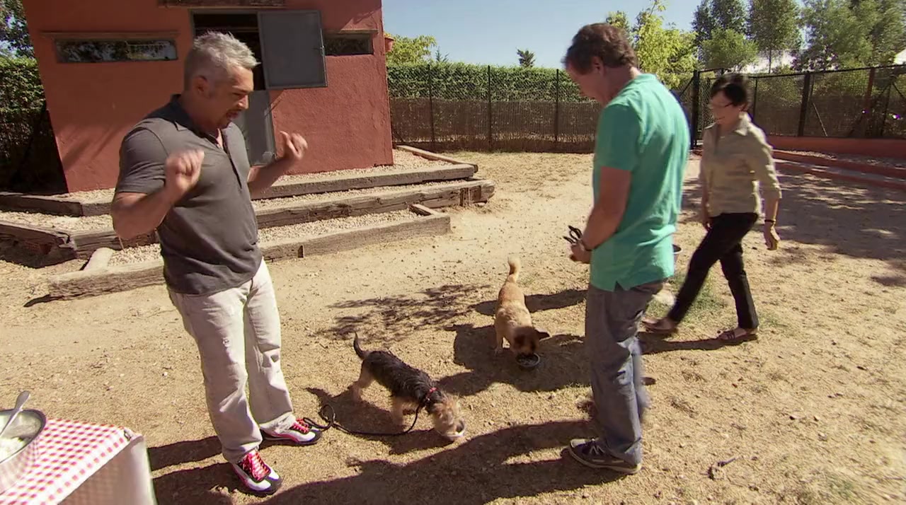 Cesar Millan: The Real Story screenshot 1