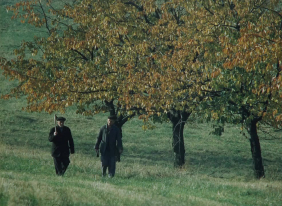 Ceská rapsodie screenshot 1