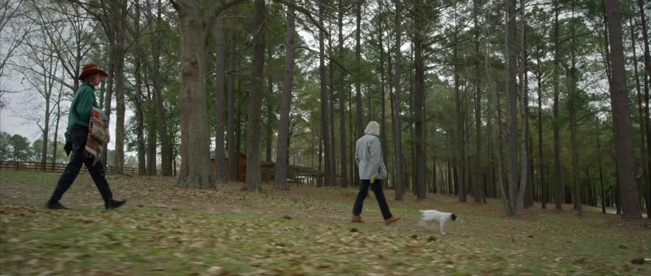 Chuck Leavell: The Tree Man screenshot 1