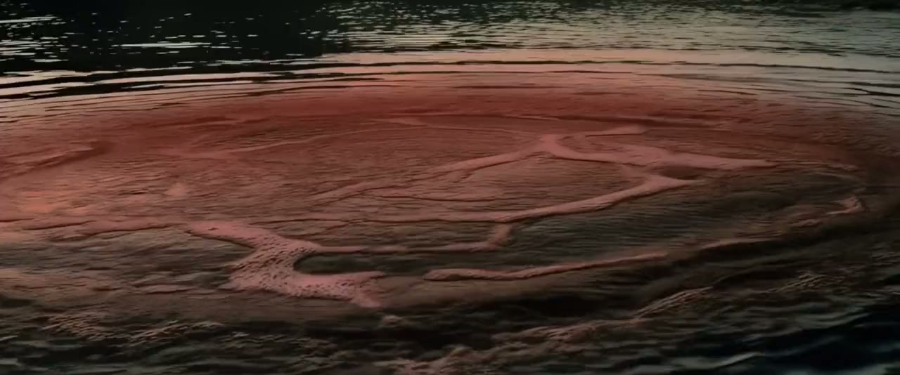 Chum screenshot 3