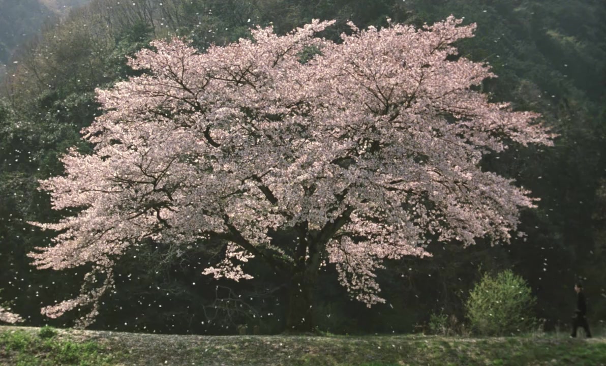 Cha no aji screenshot 1