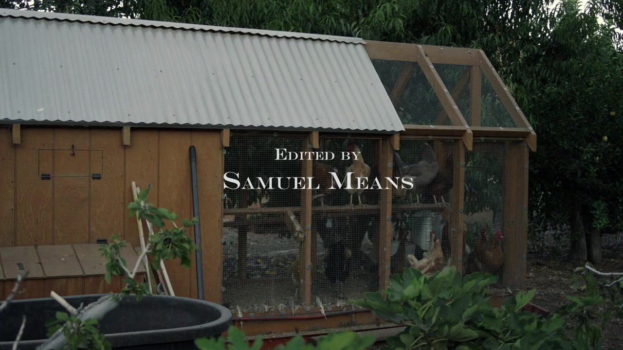 Chaos on the Farm screenshot 2