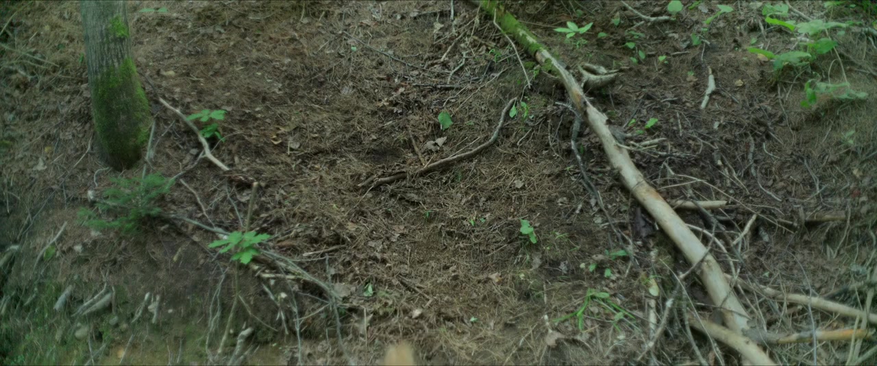 Chaos Walking screenshot 1