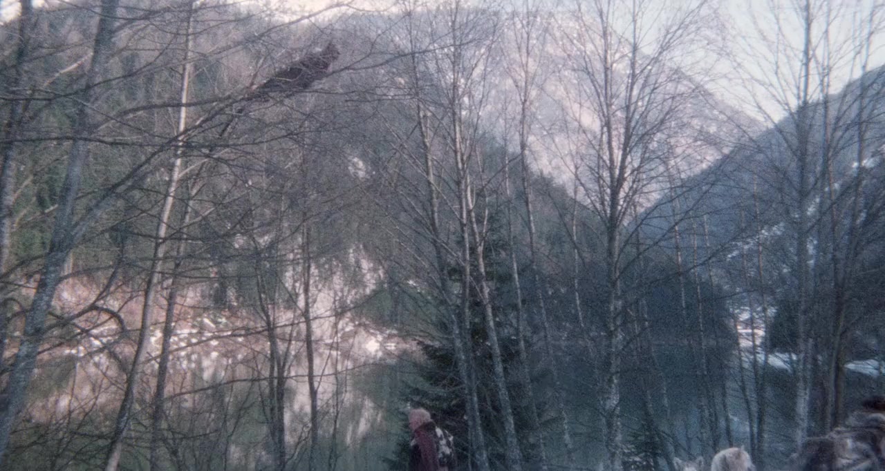 Il ritorno di Zanna Bianca screenshot 1