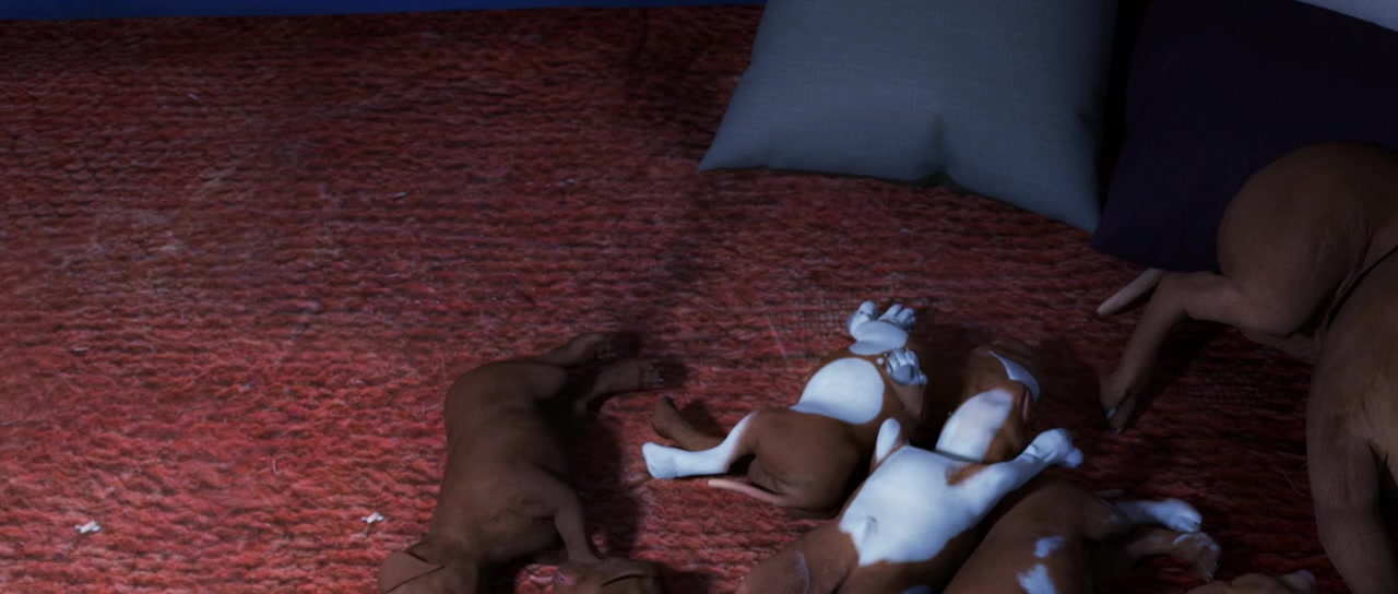 Chance screenshot 1