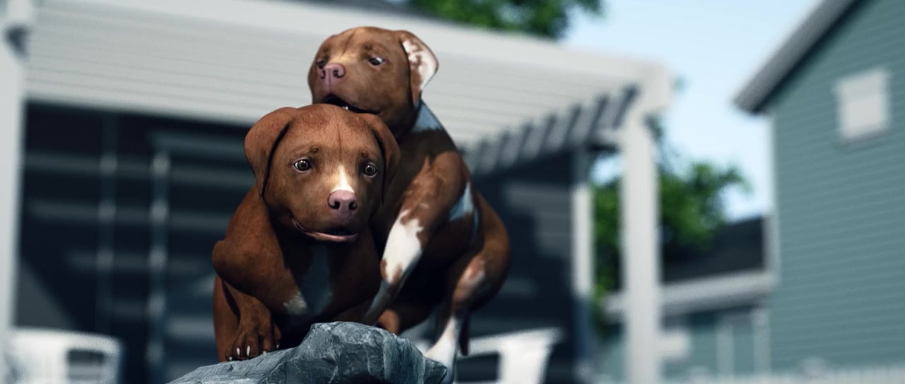 Chance screenshot 3
