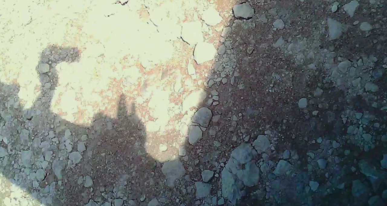 Chasing Asylum screenshot 1