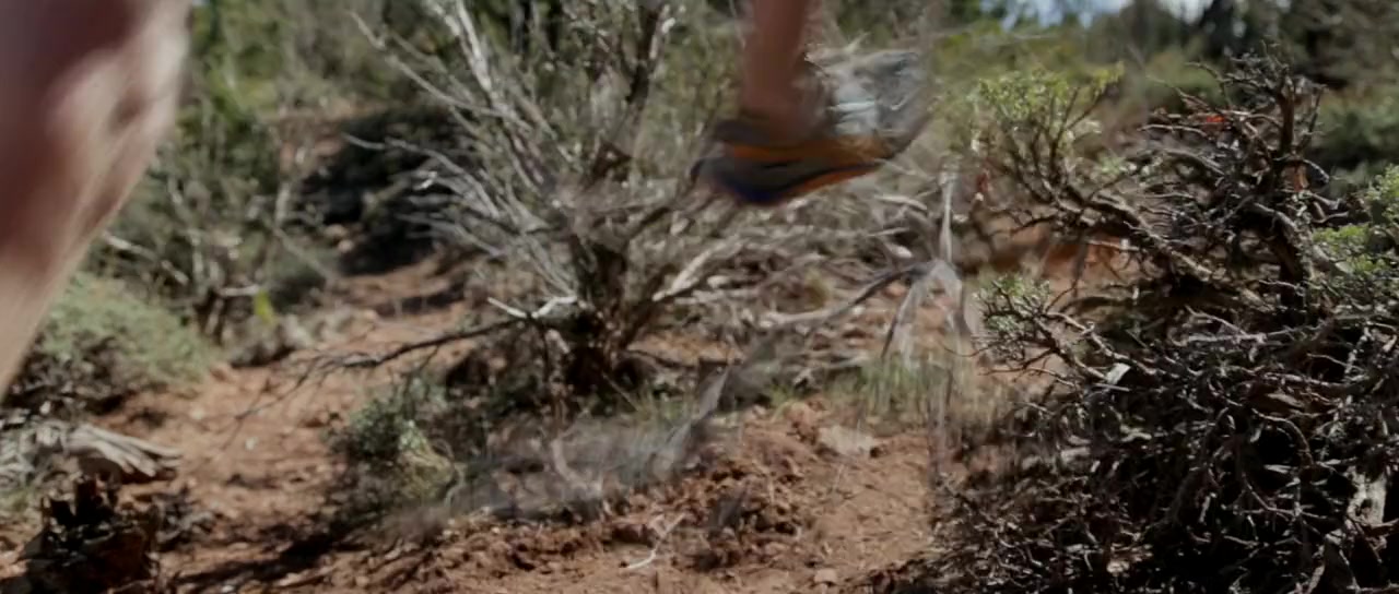Chasing Red screenshot 2