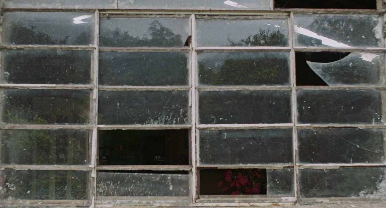 Carvão screenshot 3
