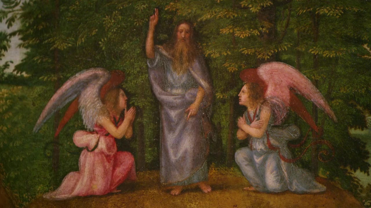 Charles Darwin and the Tree of Life screenshot 3