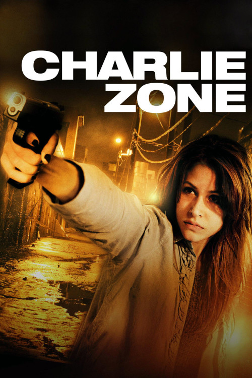 Charlie Zone (2011) poster