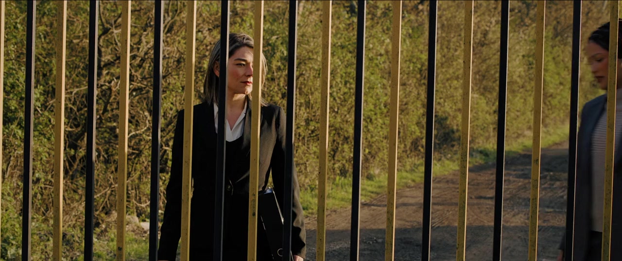 Charlie Shaw's Revenge screenshot 2