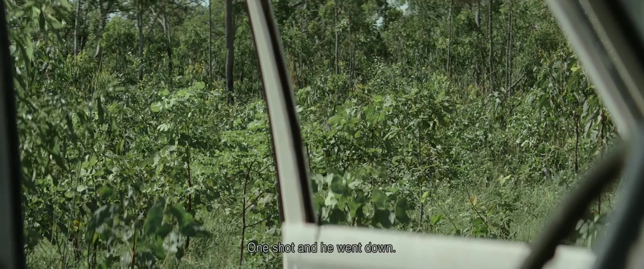 Charlie's Country screenshot 1