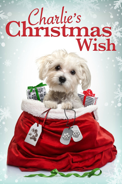 Charlie's Christmas Wish (2020) poster