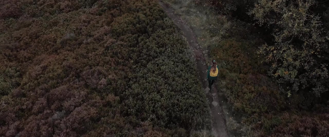 Charlotte screenshot 1