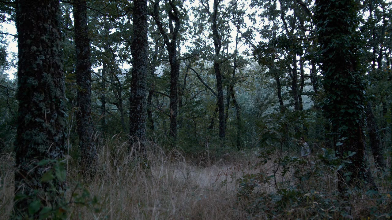 Che: Part Two screenshot 1