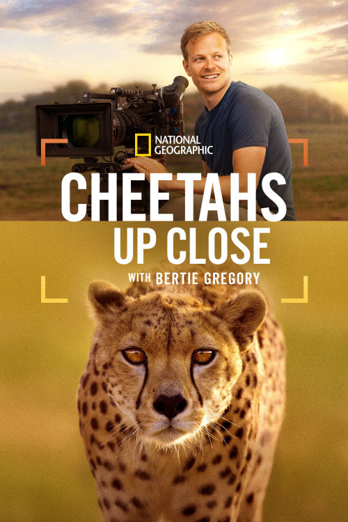 Cheetahs Up Close with Bertie Gregory (2026) poster