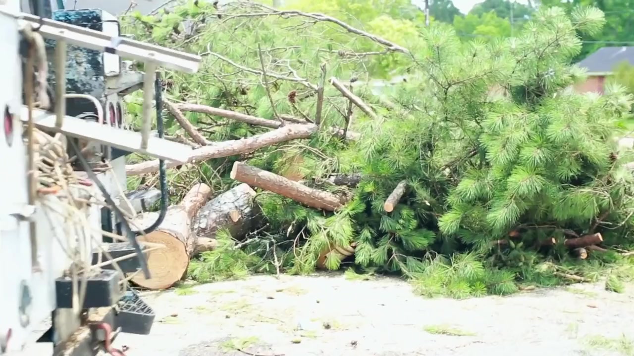 Chekmate screenshot 1