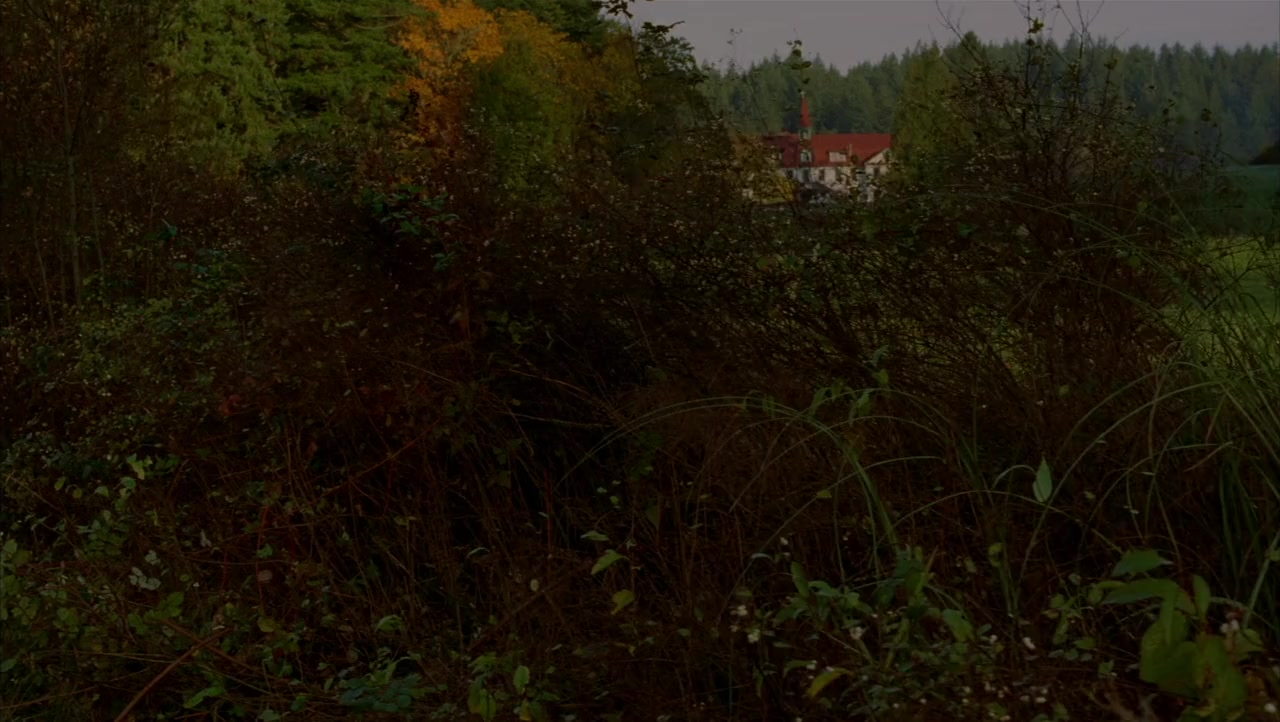 Chestnut: Hero of Central Park screenshot 2