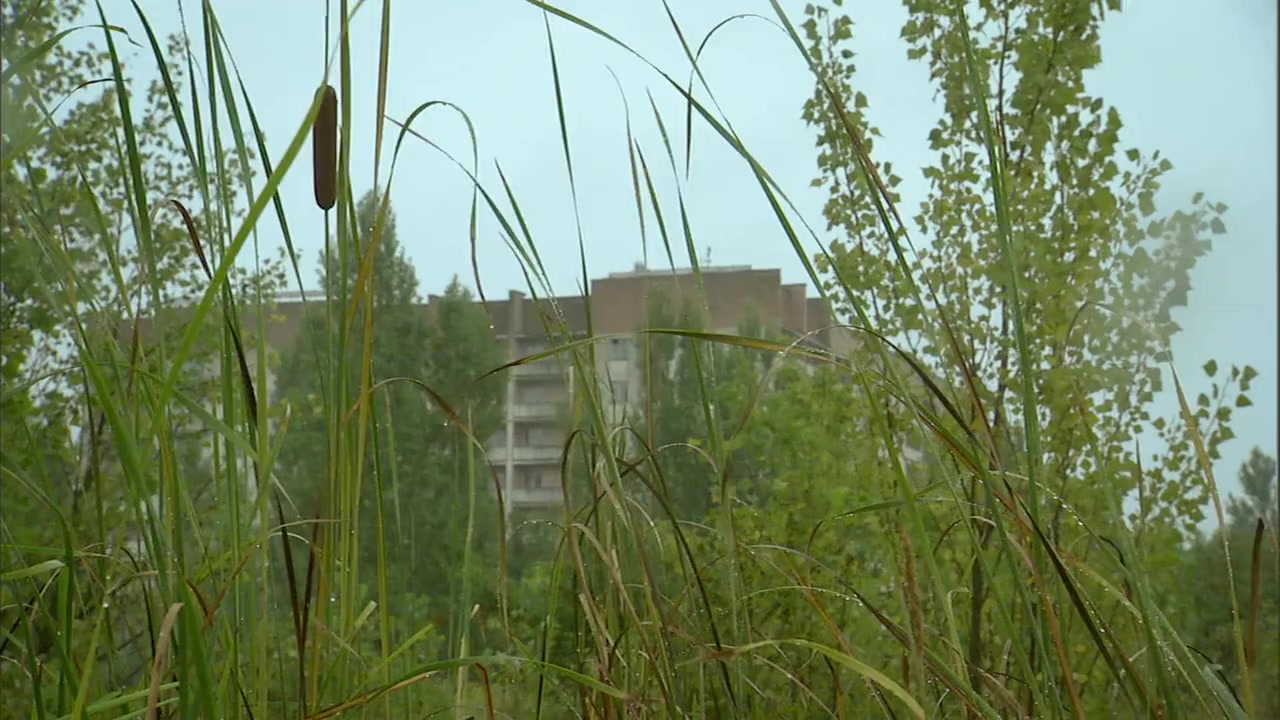 Chernobyl Reclaimed: An Animal Takeover screenshot 2