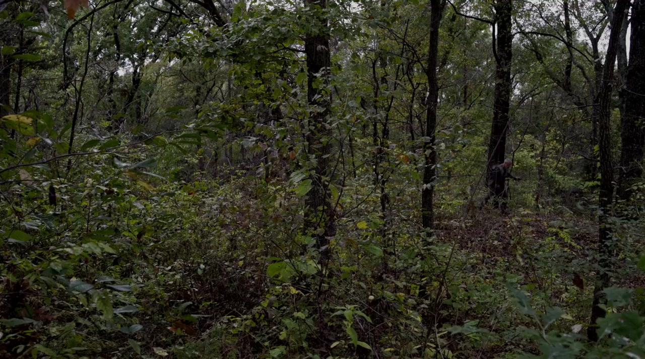 Cherokee Creek screenshot 1