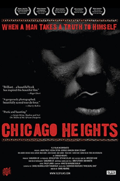 Chicago Heights (2009) poster