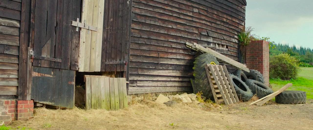 Chicken screenshot 3