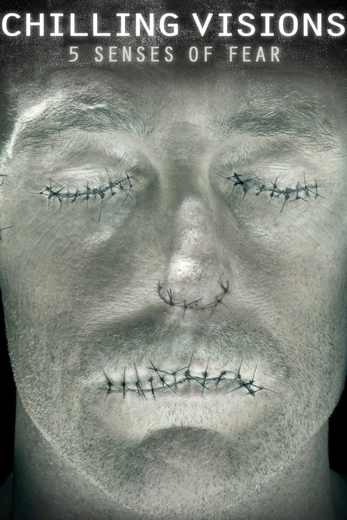 Chilling Visions: 5 Senses of Fear (2013) poster