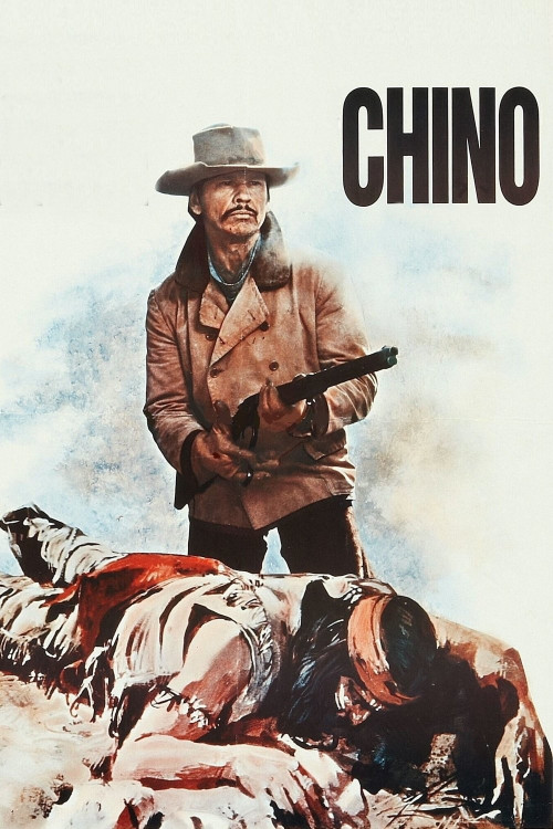Valdez il mezzosangue (1973) poster