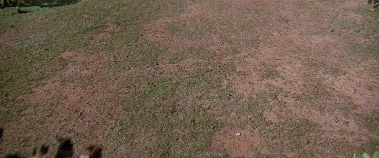 Chisum screenshot 3
