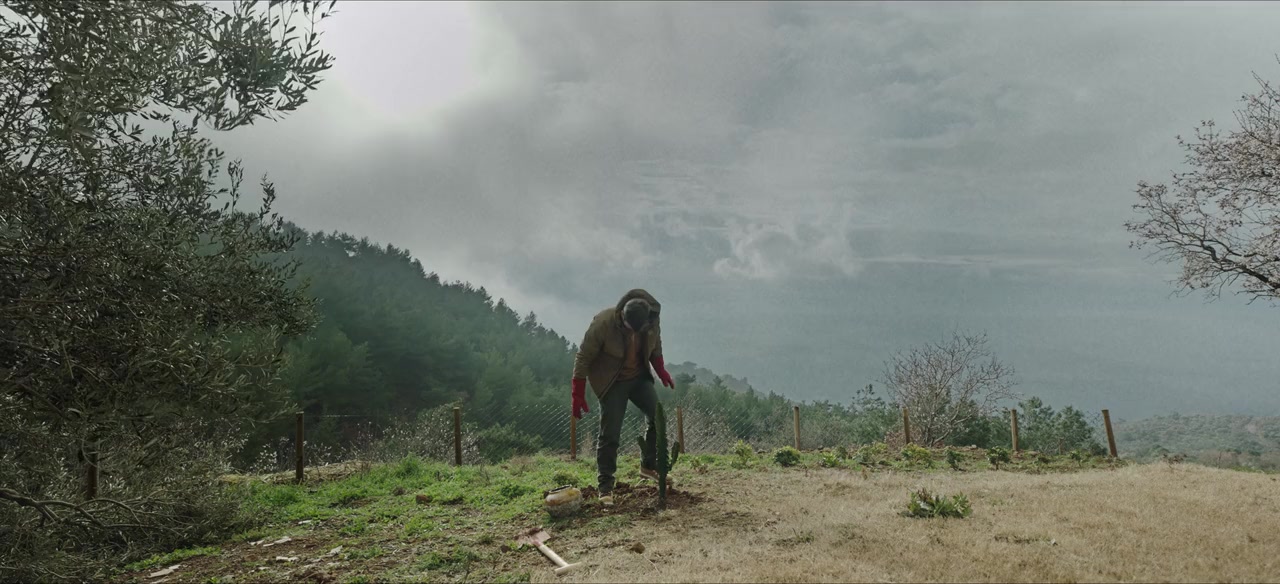 Boga Boga screenshot 1