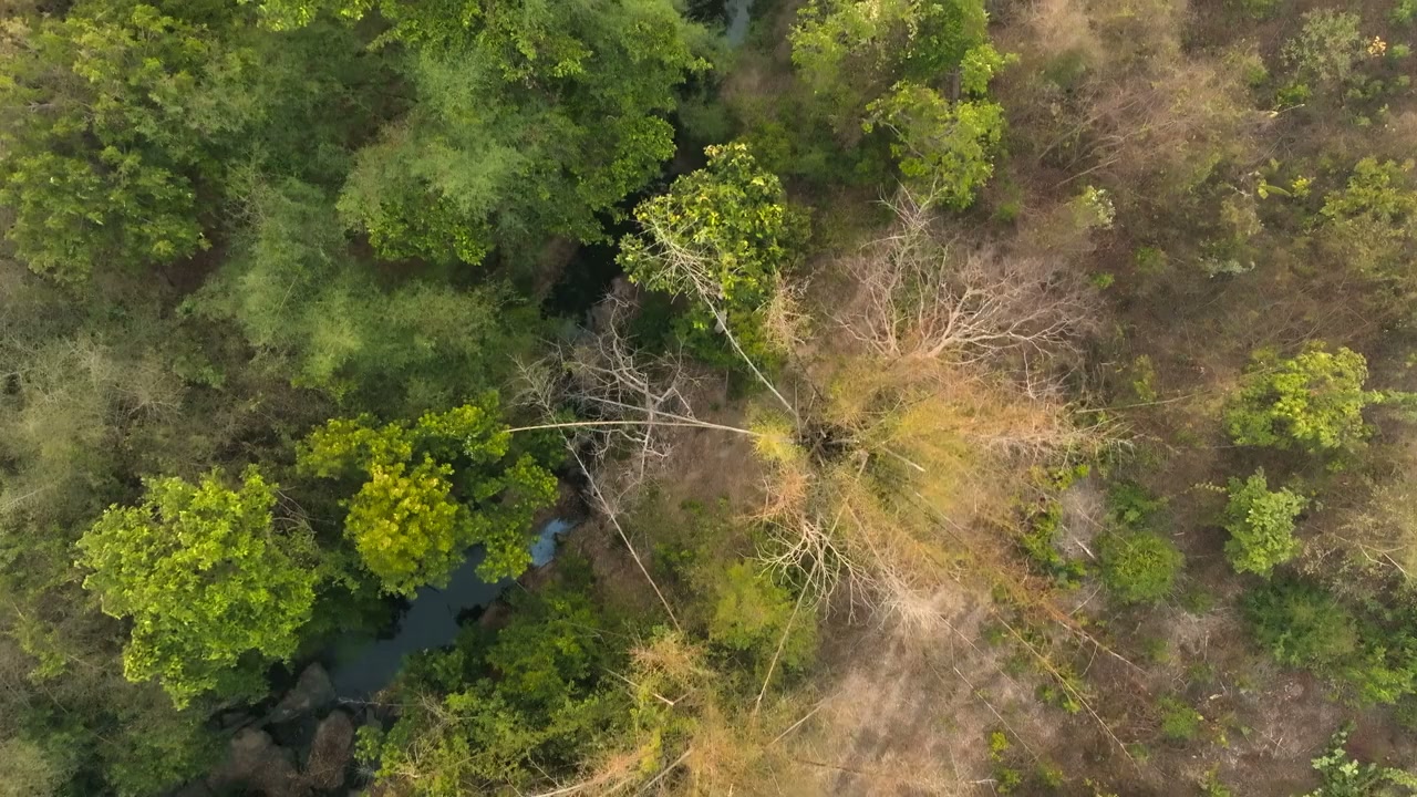 Chomphu: Dek Hai Thi Thuk Luem screenshot 3