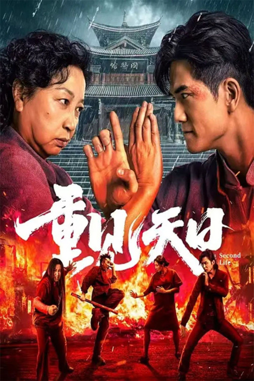 Chong jian tian ri (2024) poster