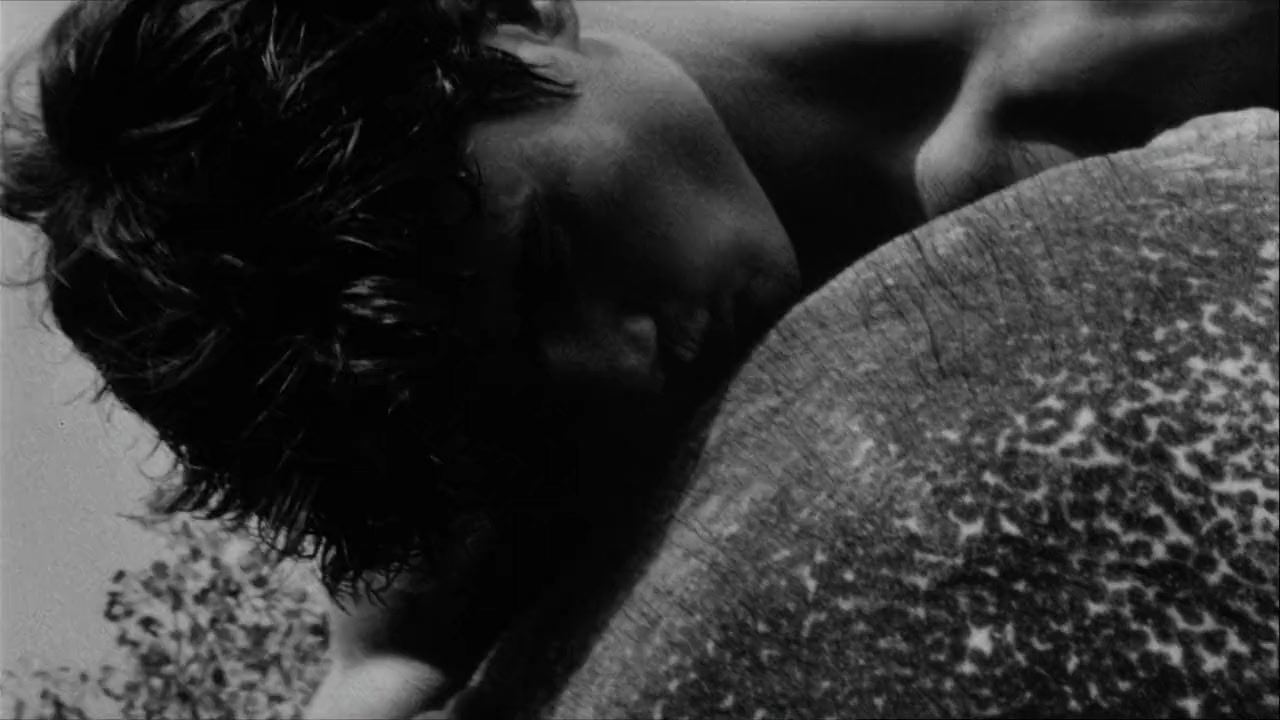 Chop Suey screenshot 2