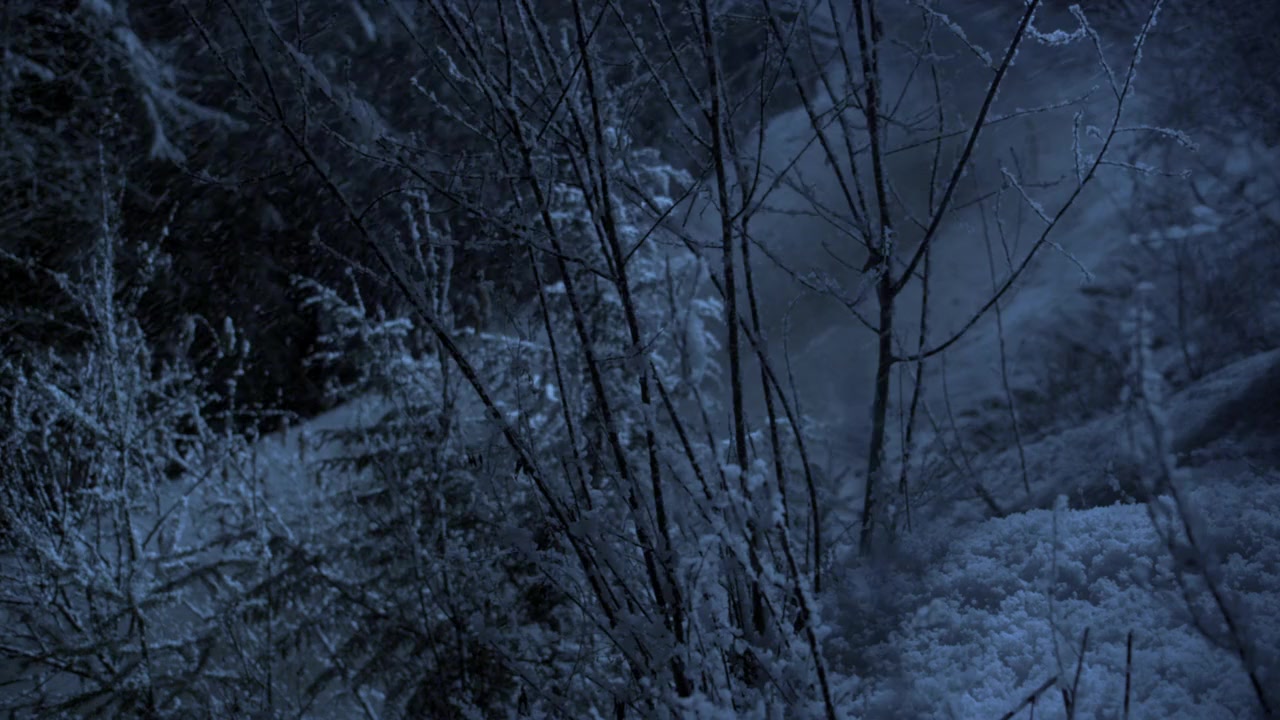 Christmas Miracle screenshot 2