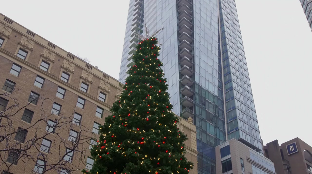 Christmas on Holly Lane screenshot 3