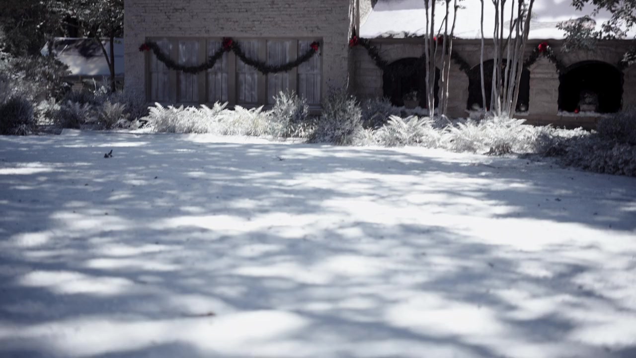 Christmas at Graceland: Home for the Holidays screenshot 3