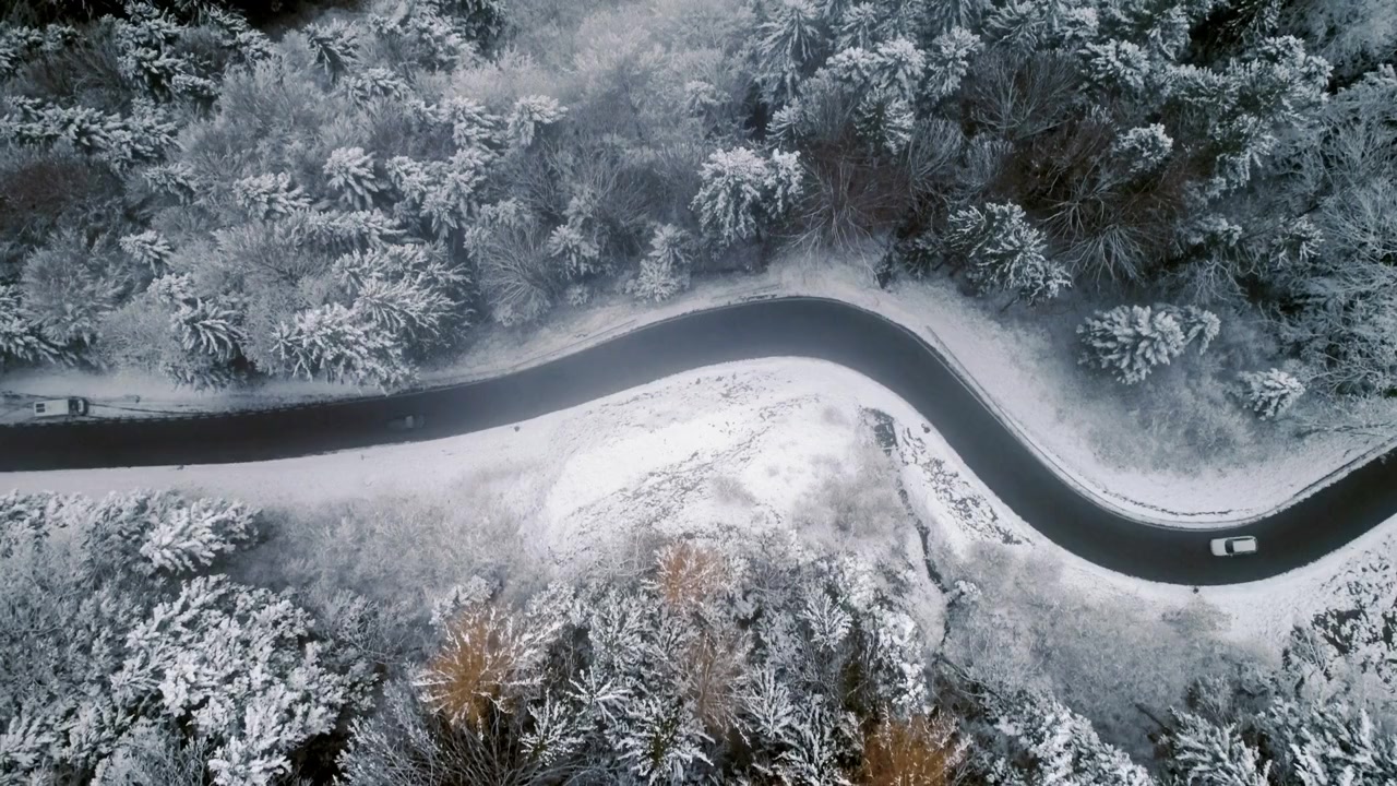 Christmas Camp screenshot 1