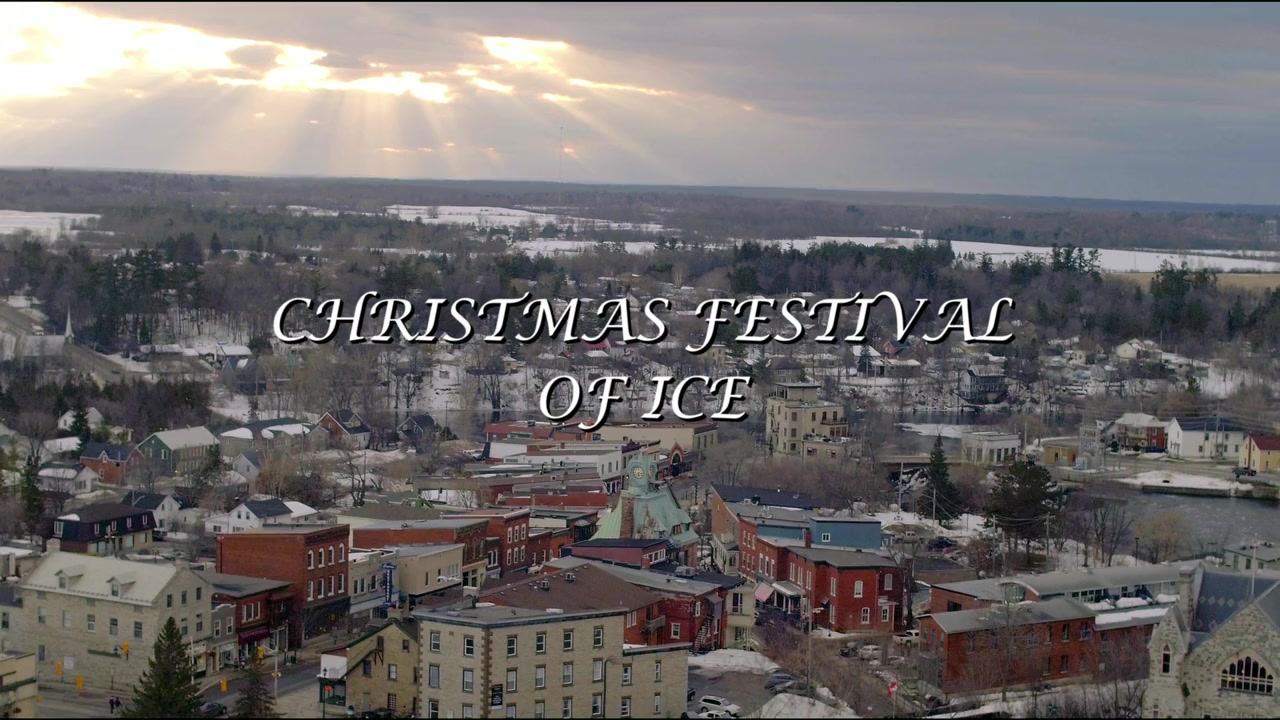 Christmas Festival of Ice screenshot 1