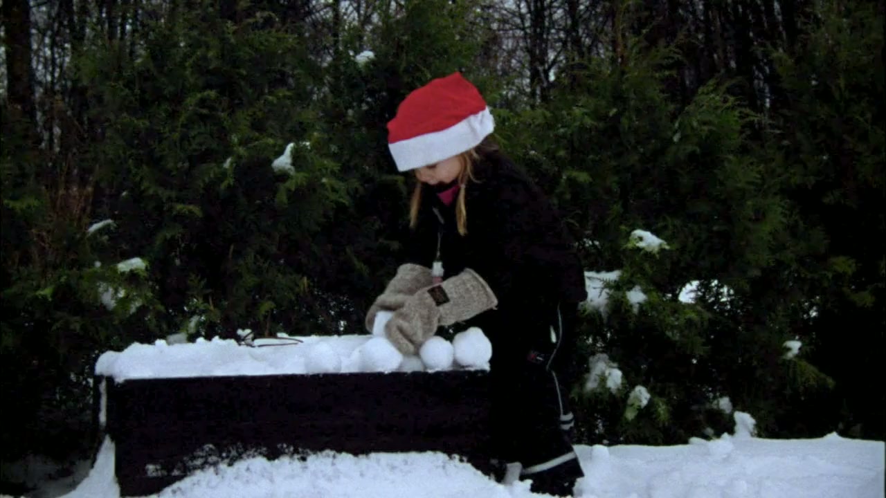 Christmas Homecoming screenshot 3