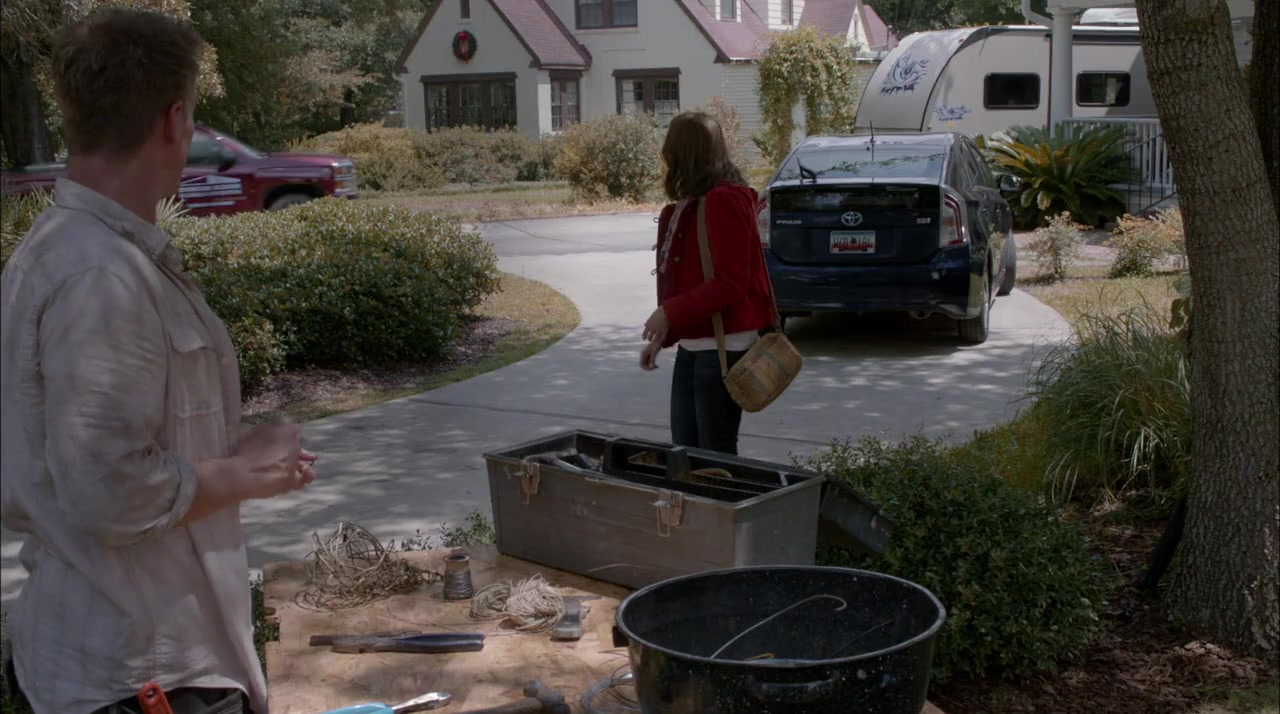 Christmas in Conway screenshot 1