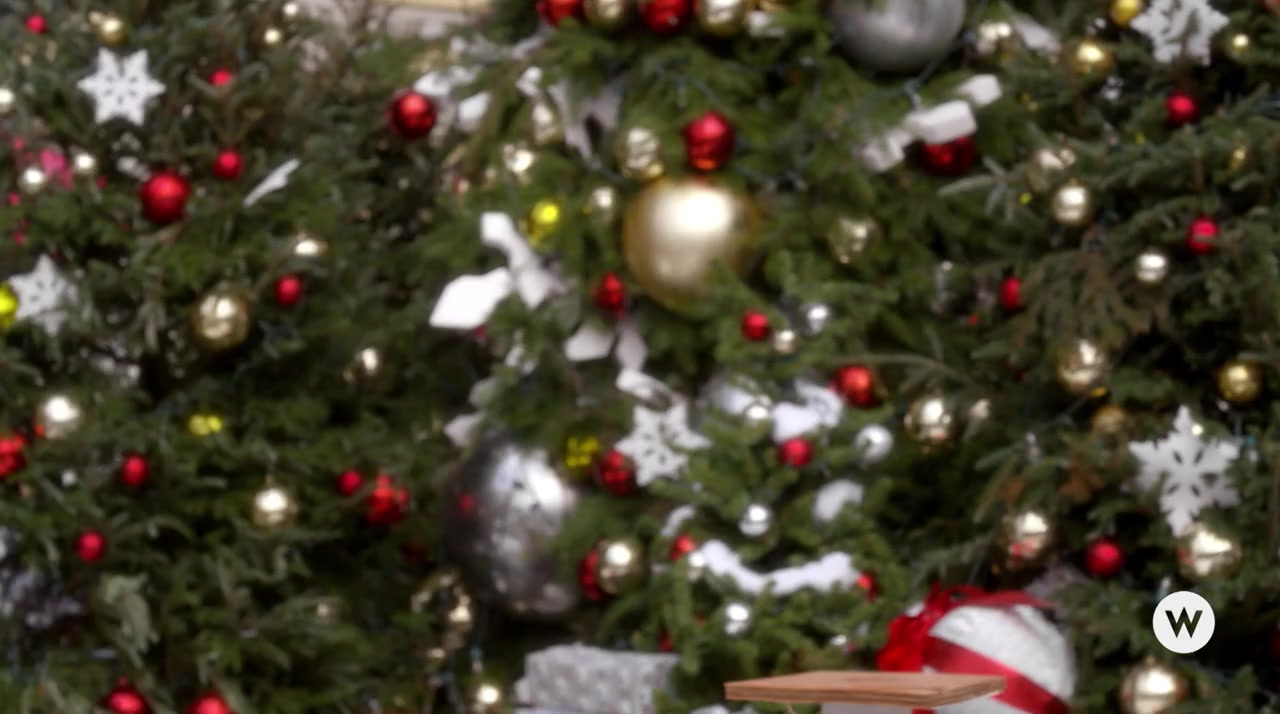 Christmas in Evergreen: Tidings of Joy screenshot 3