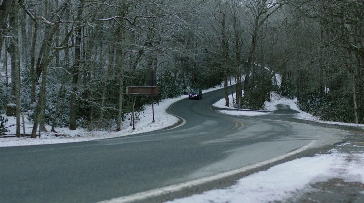 Christmas in the Pines screenshot 1